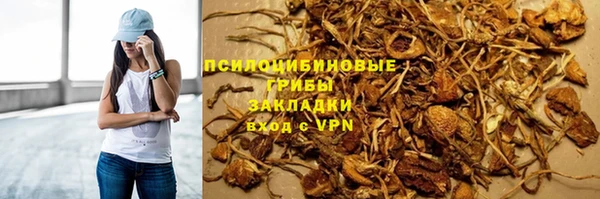 ешки Абаза