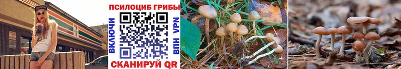Галлюциногенные грибы GOLDEN TEACHER  Орск 